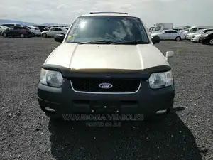 Ford Escape 2002 Silver