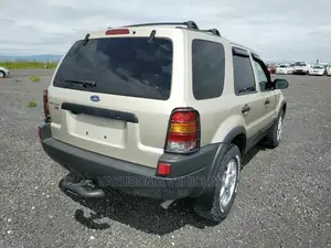 Ford Escape 2002 Silver