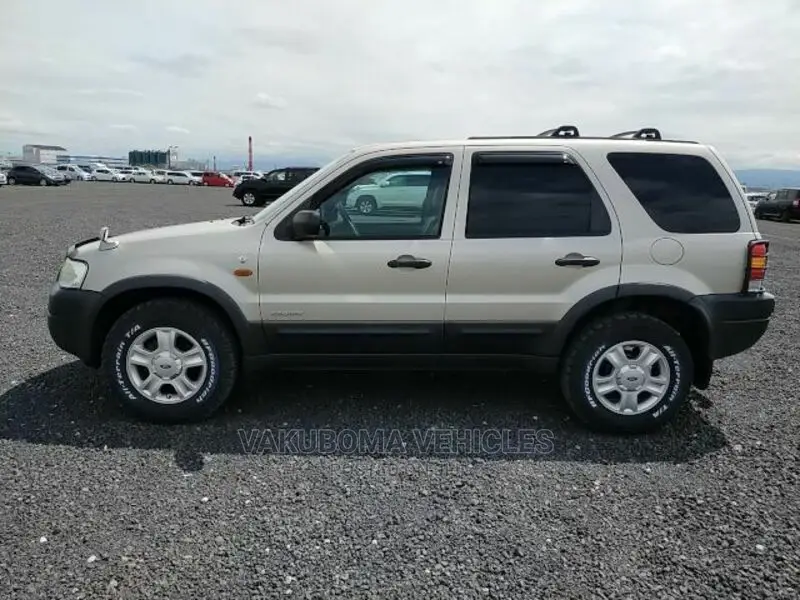 Ford Escape 2002 Silver