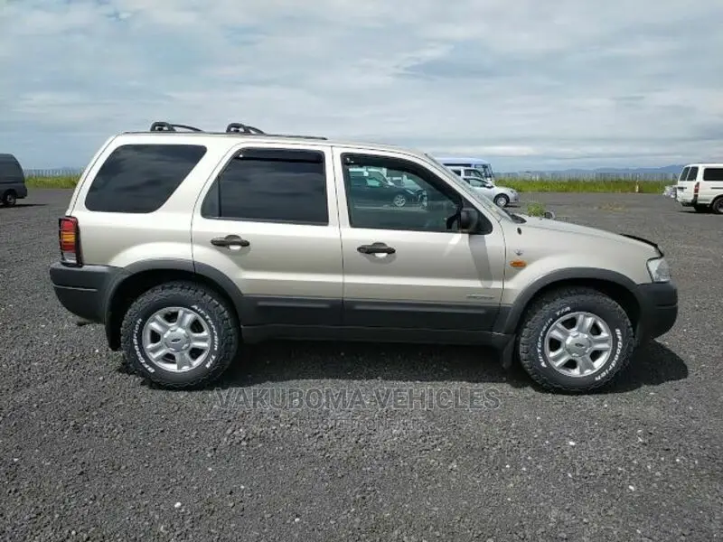 Ford Escape 2002 Silver