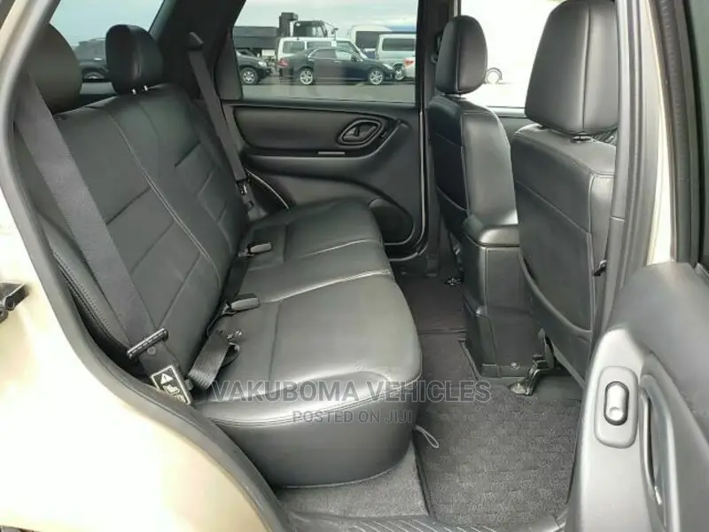 Ford Escape 2002 Silver