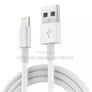iPhone USB