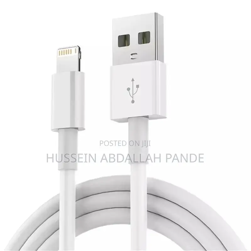 iPhone USB