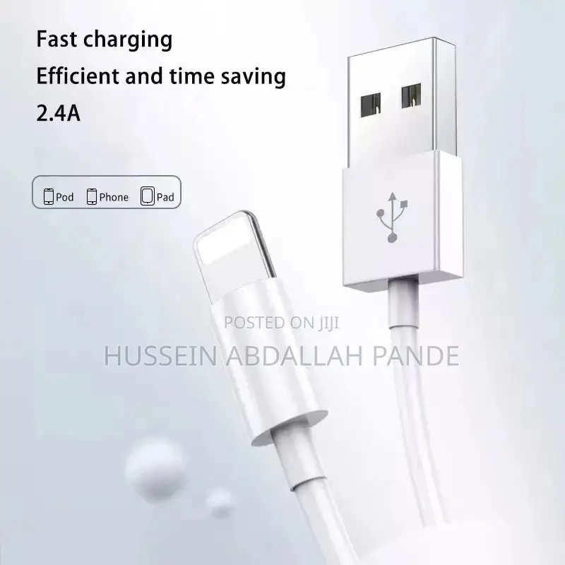 iPhone USB
