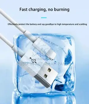 iPhone USB