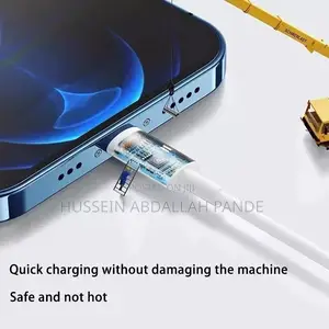 iPhone USB
