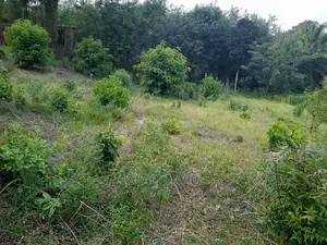 Plot for Sale at Kigamboni