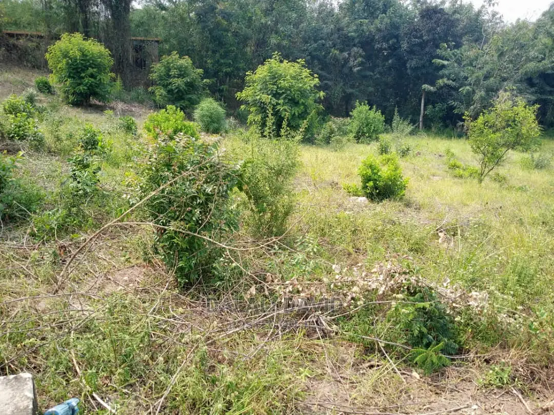 Plot for Sale at Kigamboni
