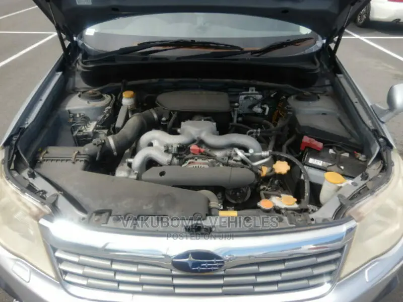 Subaru Forester 2009 Silver