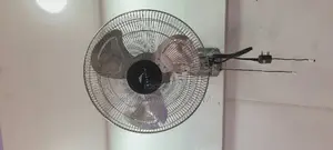 Dolphin Wall Fan 18*