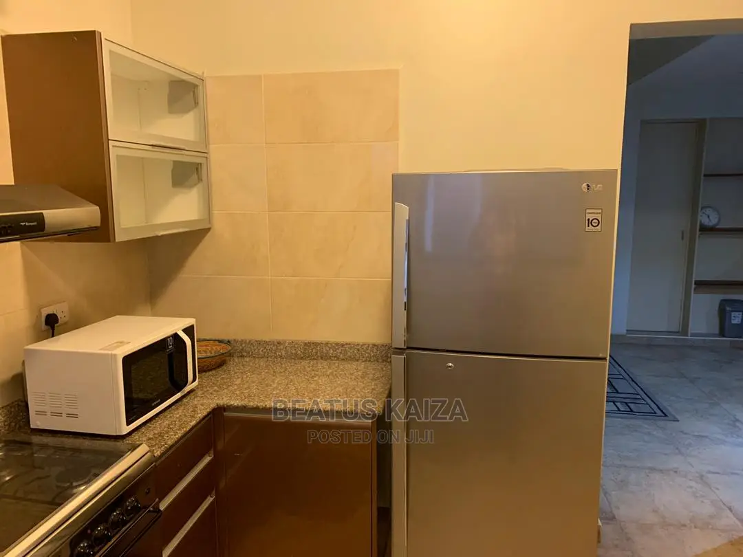 Furnished 3bdrm Block of Flats in Upanga Mindu Street for Rent