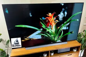 LG OLED Tv C1 OLED Display Thinq Al 55 Inch C1