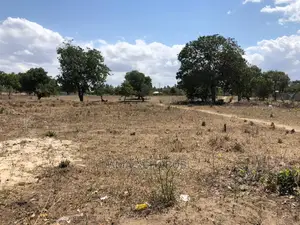 Acre 50000 for Sale Morogoro