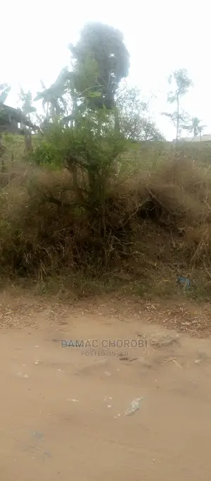 Acre 12000 for Sale Loction Pangani Tanga