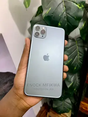 Apple iPhone 11 Pro Max 256 GB Gray