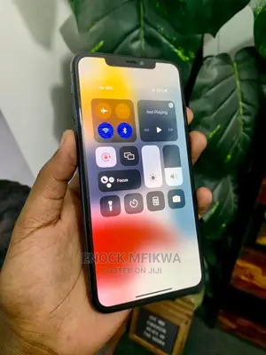 Apple iPhone 11 Pro Max 256 GB Gray