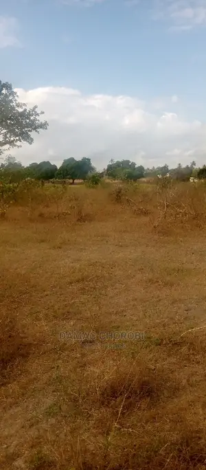 Acre 9 Bagamoyo Mjini for Sale