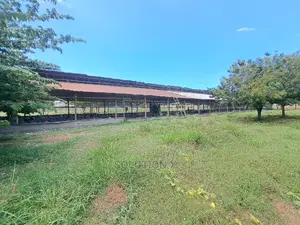 Mradi Wa Mabanda Ya Kuku Unauzwa