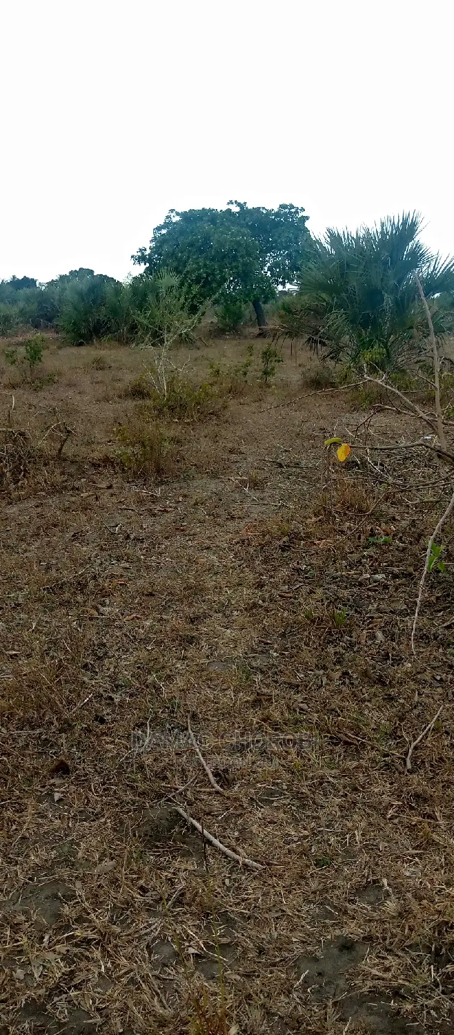 Acre 15 Bagamoyo Mjini for Sale