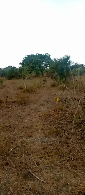 Acre 15 Bagamoyo Mjini for Sale