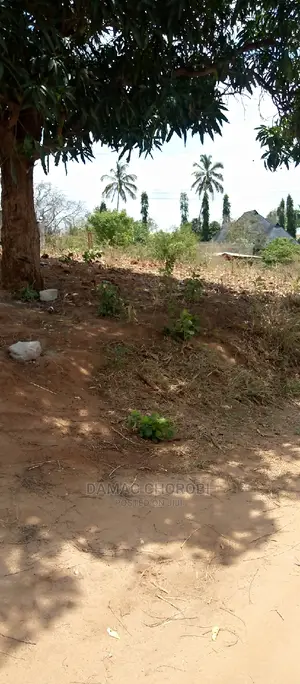 Acre 4 Zinga Bagamoyo for Sale