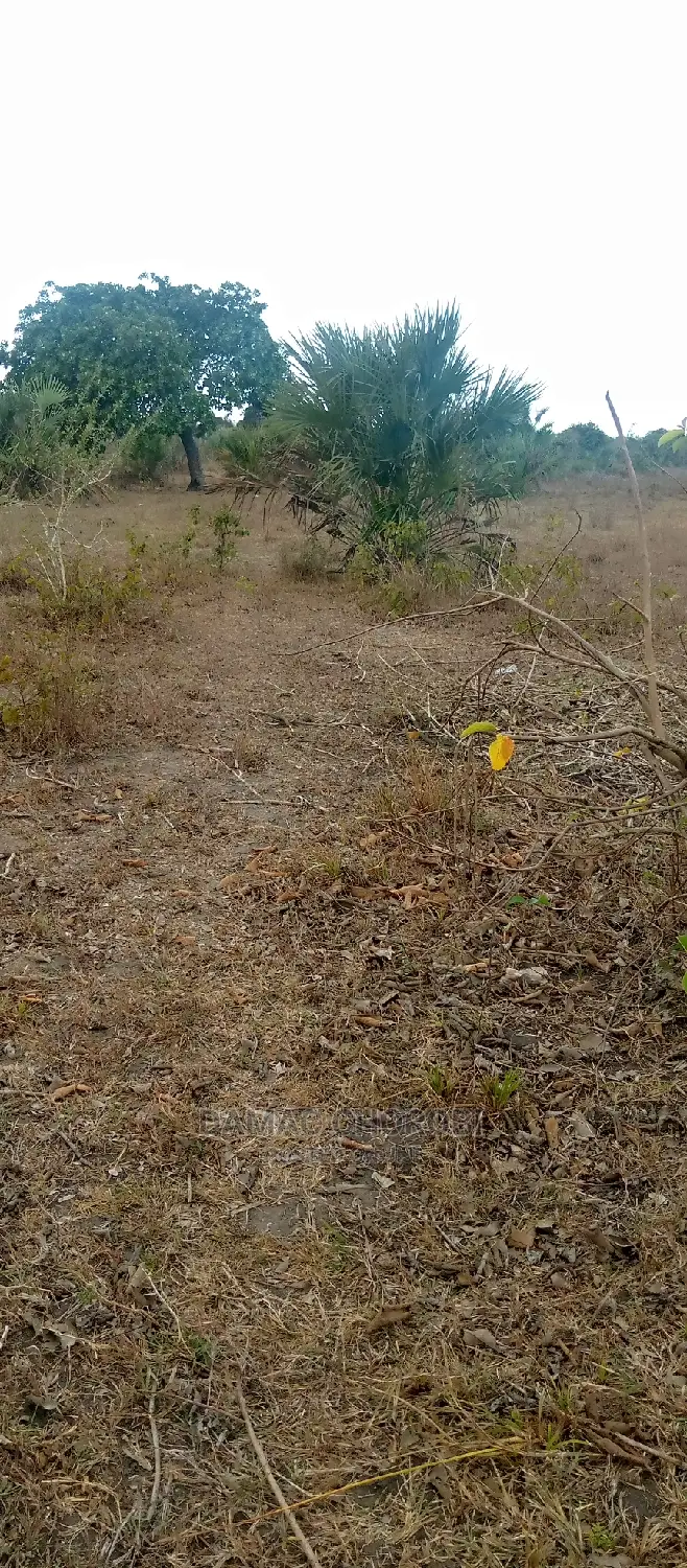 Mashamba Bora Kwa Kilimo Loction Mbwewe Bagamoyo