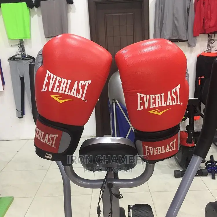 Everlast Boxing Gloves