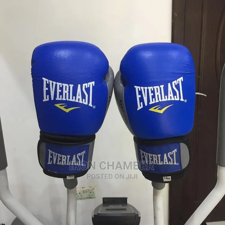 Everlast Boxing Gloves