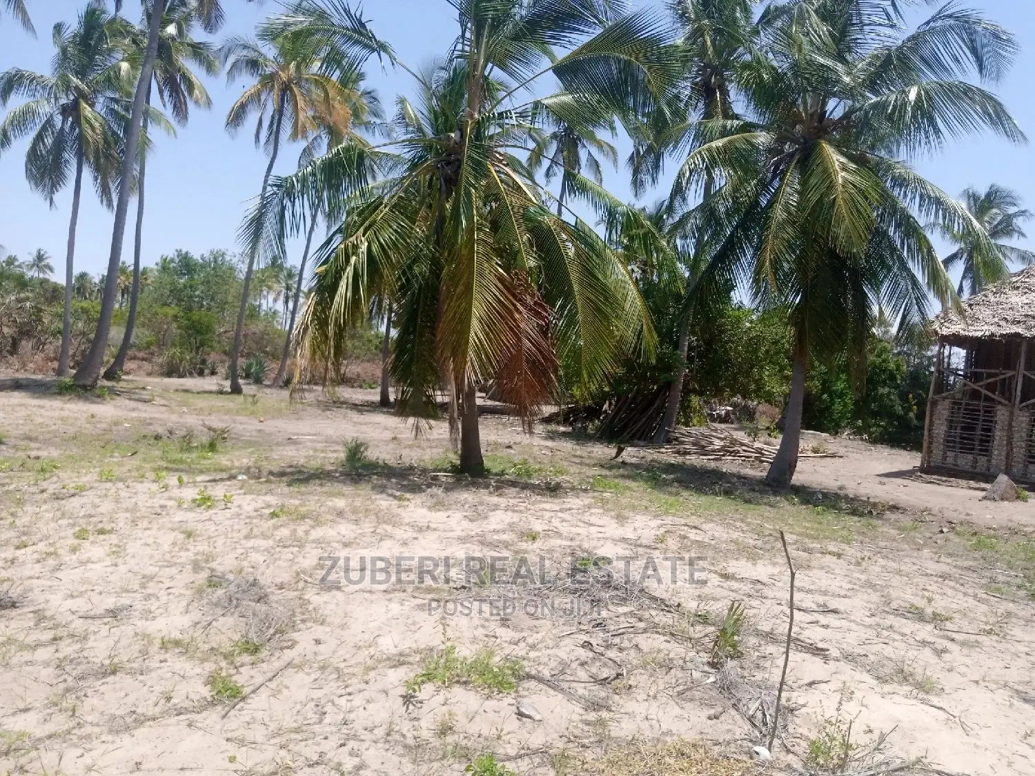 Lease Opportunity at Mikocheni Pangani.