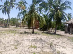 Lease Opportunity at Mikocheni Pangani.