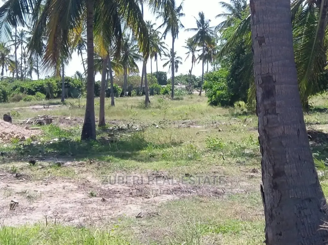 Lease Opportunity at Mikocheni Pangani.