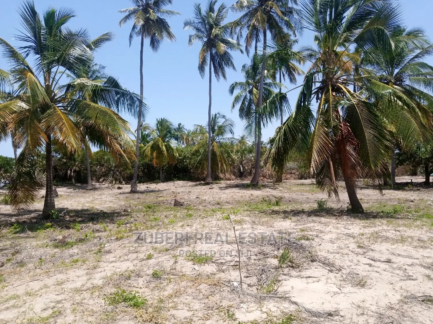 Lease Opportunity at Mikocheni Pangani.