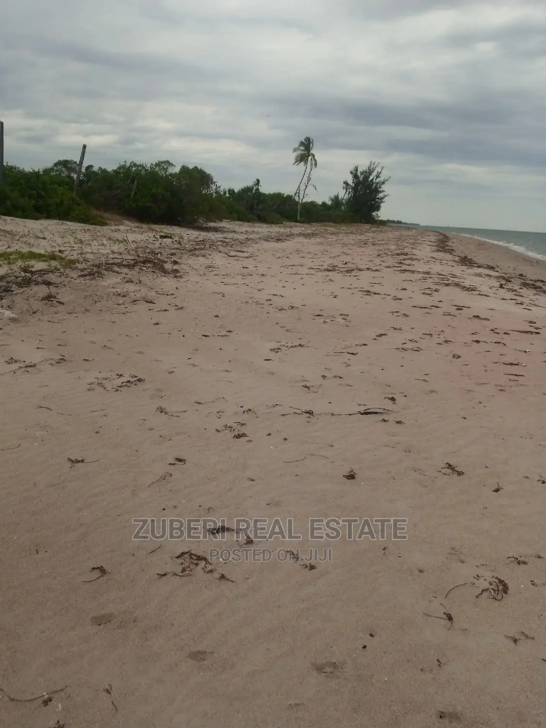 Beach Plot for Sale Mkwaja.