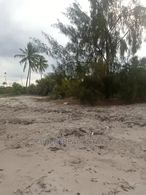 Beach Plot for Sale Mkwaja.