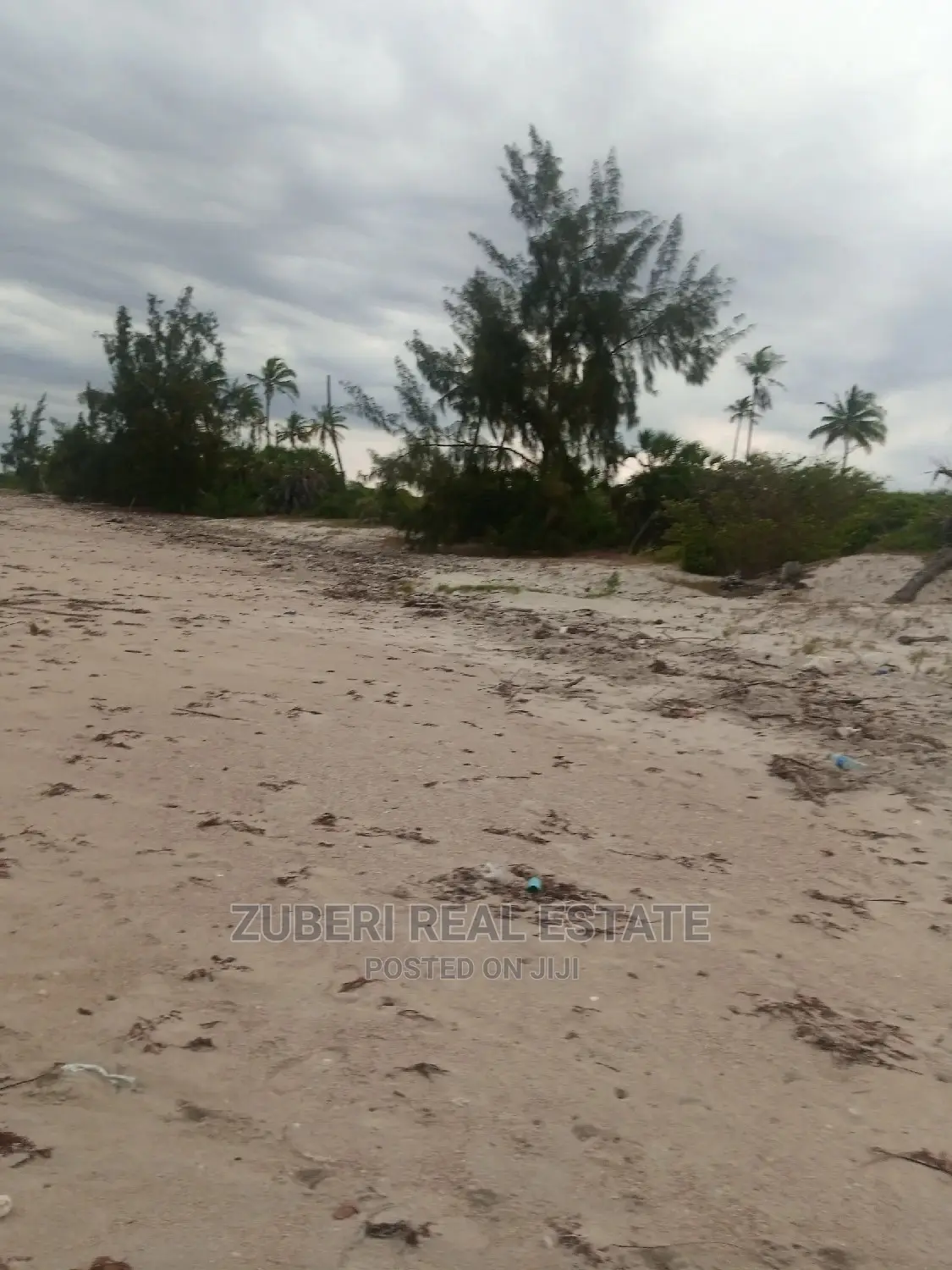 Beach Plot for Sale Mkwaja.