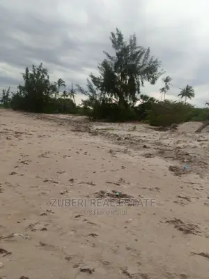 Beach Plot for Sale Mkwaja.