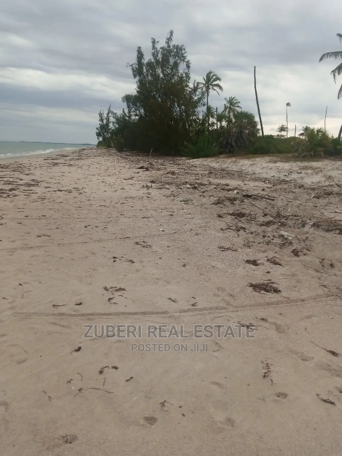 Beach Plot for Sale Mkwaja.