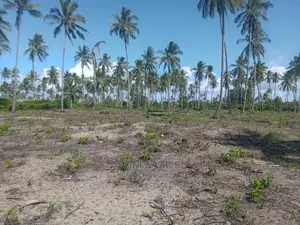 Nauza Beach Prot Mkwaja Pangani Inauzwa