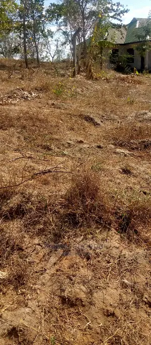 Eneo Kubwa Bora Kwa Uwekezaji Bagamoyo