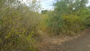 Jipatie Mashamba Makubwa Kwa Kilimo Cha Kumwagilia