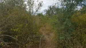 Jipatie Mashamba Makubwa Kwa Kilimo Cha Kumwagilia