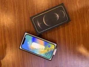Apple iPhone 12 Pro Max 256 GB Gold