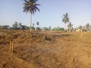 Viwanja Kongowe Jiran Na Twangoma Bei