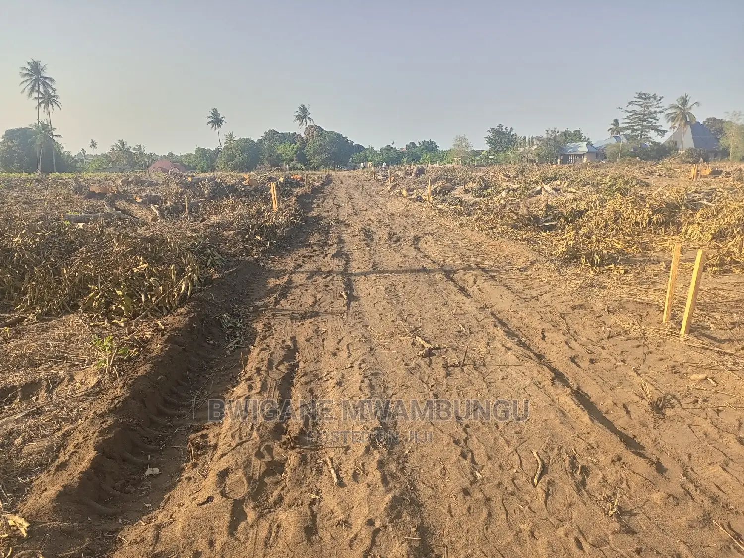 Viwanja Kongowe Jiran Na Twangoma Bei