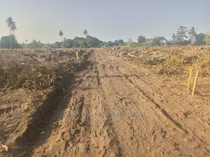 Viwanja Kongowe Jiran Na Twangoma Bei