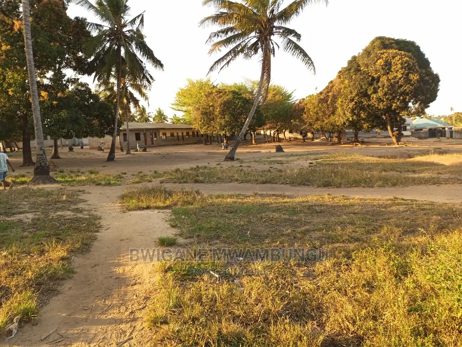 Viwanja Kongowe Jiran Na Twangoma Bei