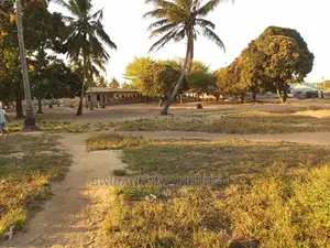 Viwanja Kongowe Jiran Na Twangoma Bei