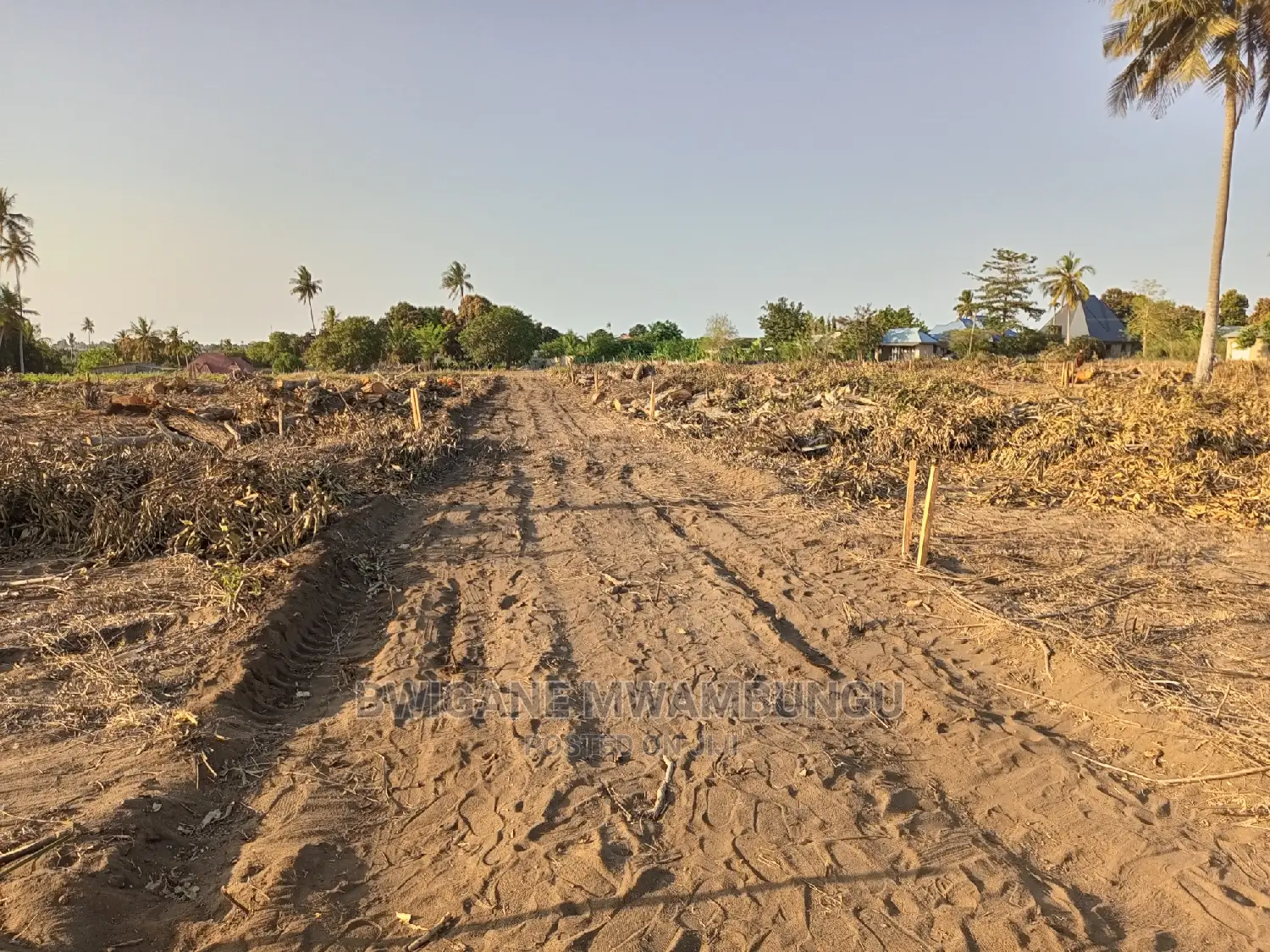 Viwanja Kongowe Jiran Na Twangoma Bei
