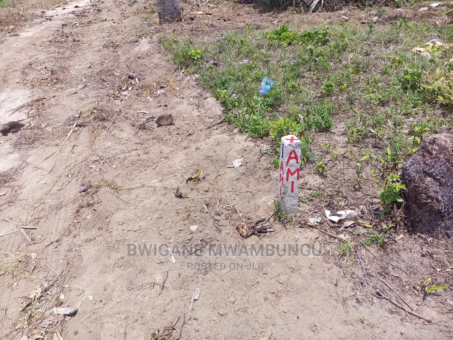 Tunauza Viwanja Kisemvule Bei Poa