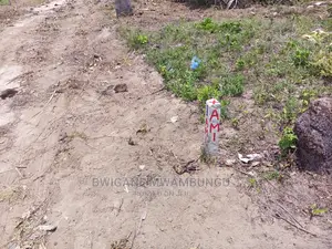 Tunauza Viwanja Kisemvule Bei Poa